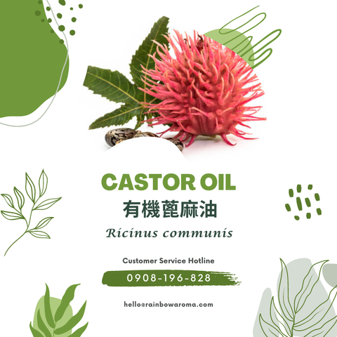 6015，Castor Oil，有機蓖麻油