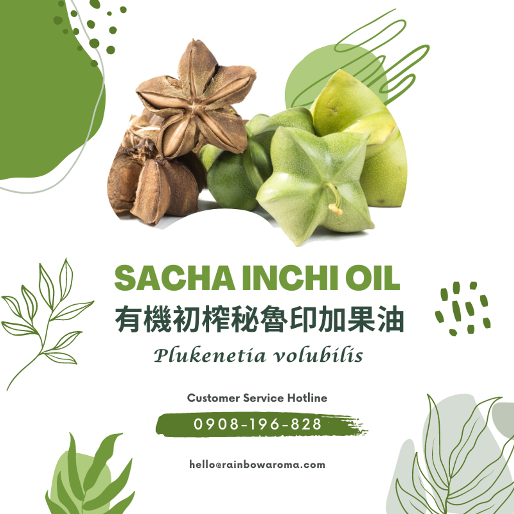 6042，Sacha Inchi Oil，有機初榨秘魯印加果油