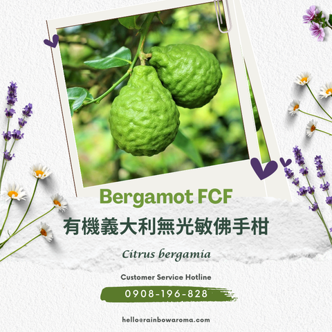 2100，Bergamot FCF，有機義大利無光敏佛手柑