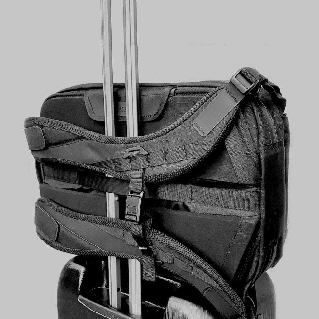 best-everyday-backpack-luggage-pass_b38312c3-716b-48f6-87f7-7d5a32f50dc4_1000x.png