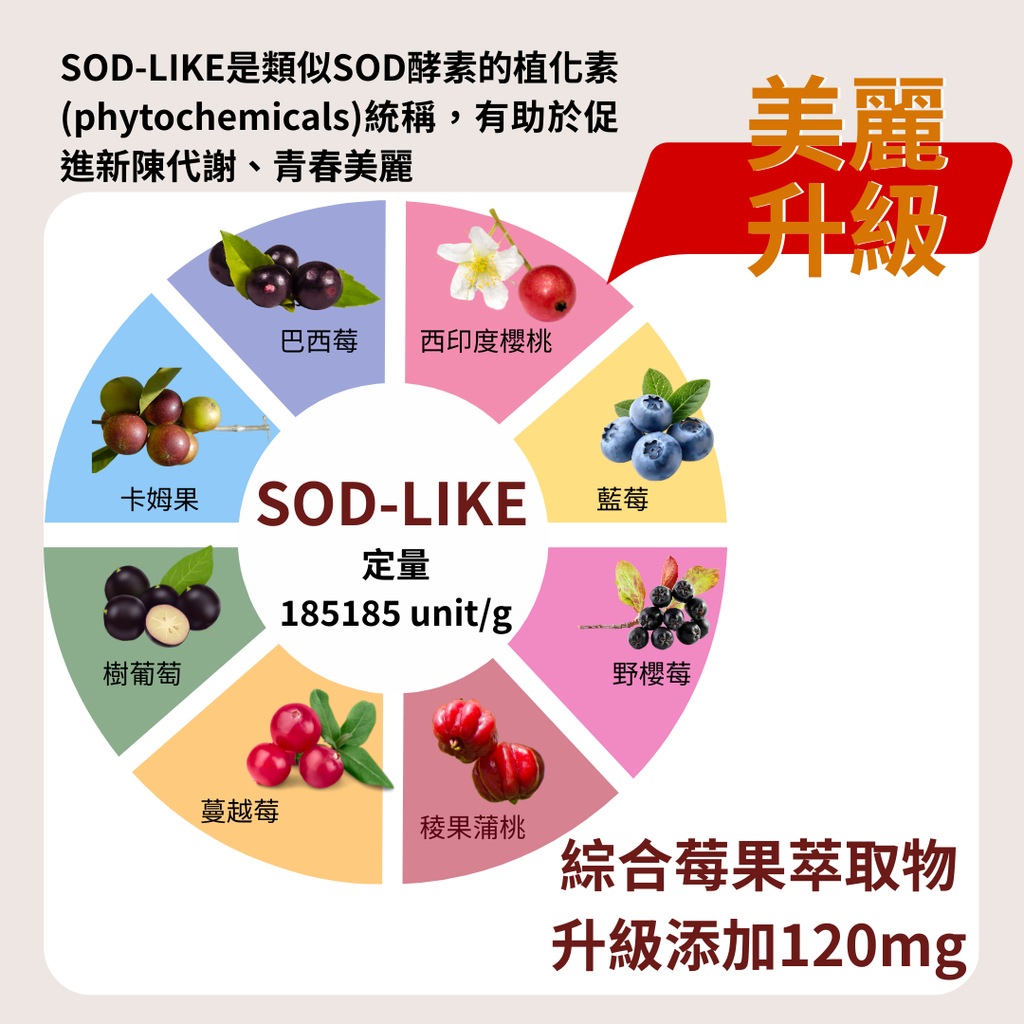 小露莓 (5)