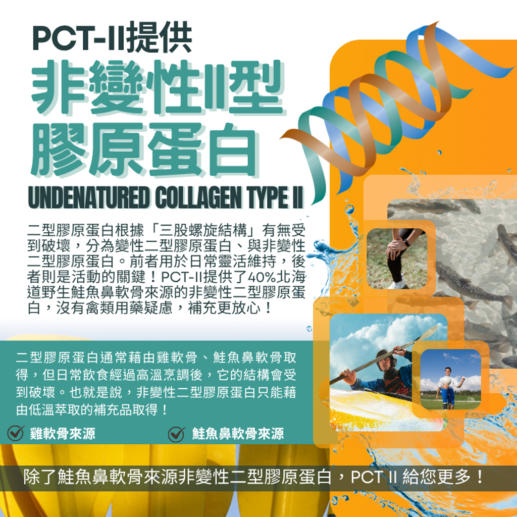 鮭魚鼻軟骨萃取複合膠囊 (1)