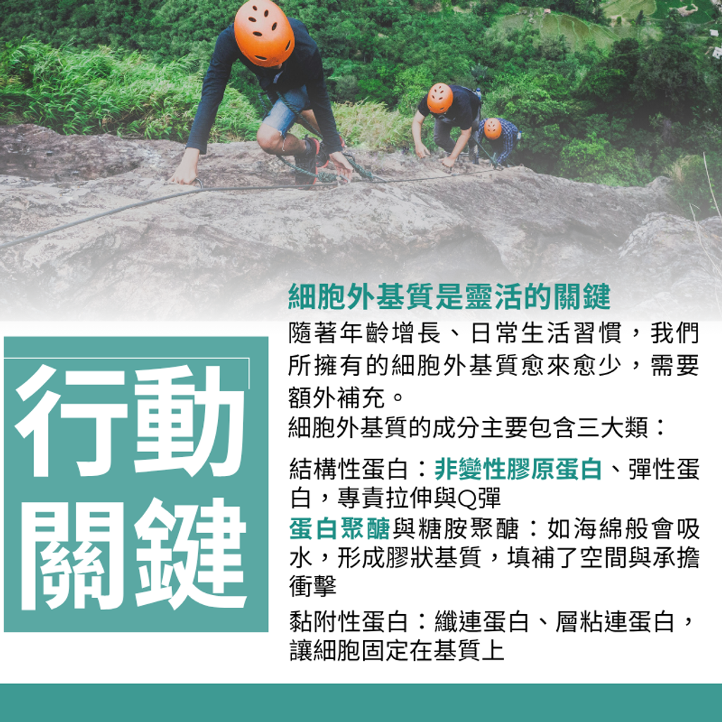 鮭魚鼻軟骨萃取複合膠囊