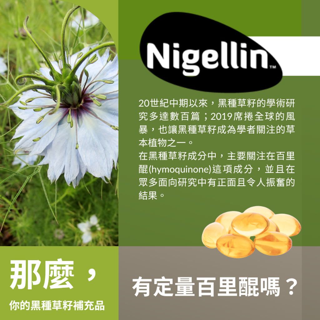 黑種草籽油萃取膠囊 (1)
