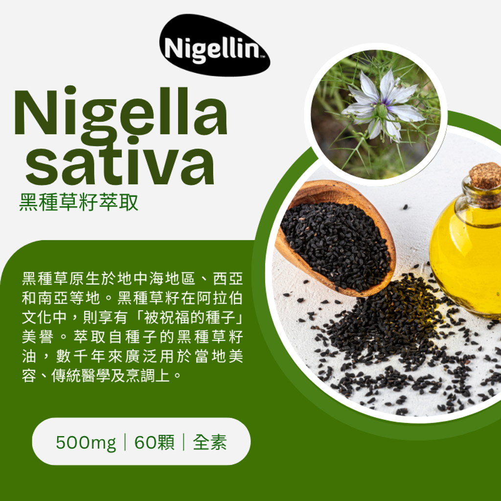 黑種草籽油萃取膠囊