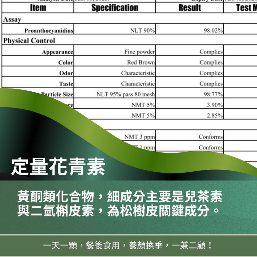 松樹皮萃取 (1)