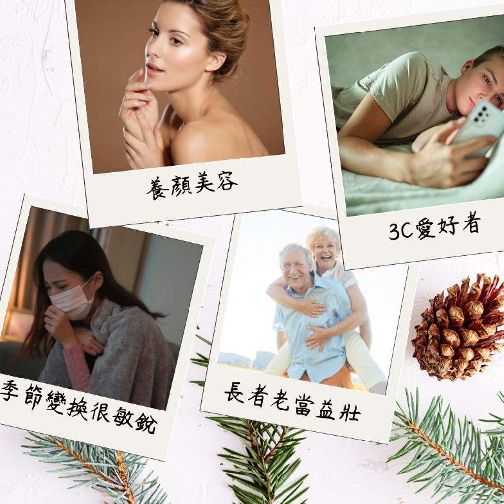 松樹皮萃取 (2)