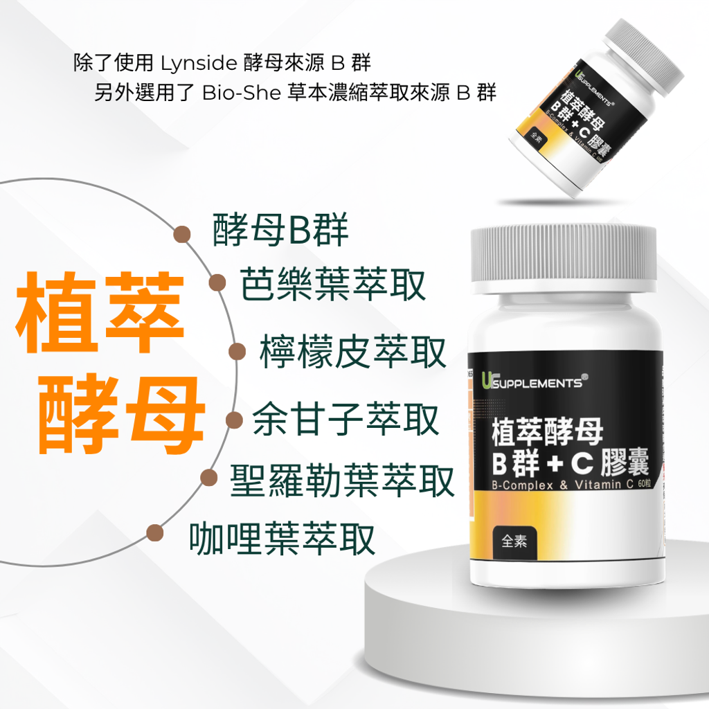 酵母B群 (1)