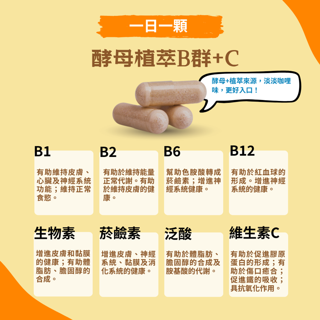 酵母B群 (3)