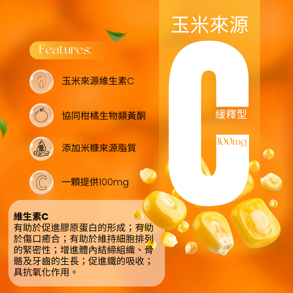酵母B群 (2)