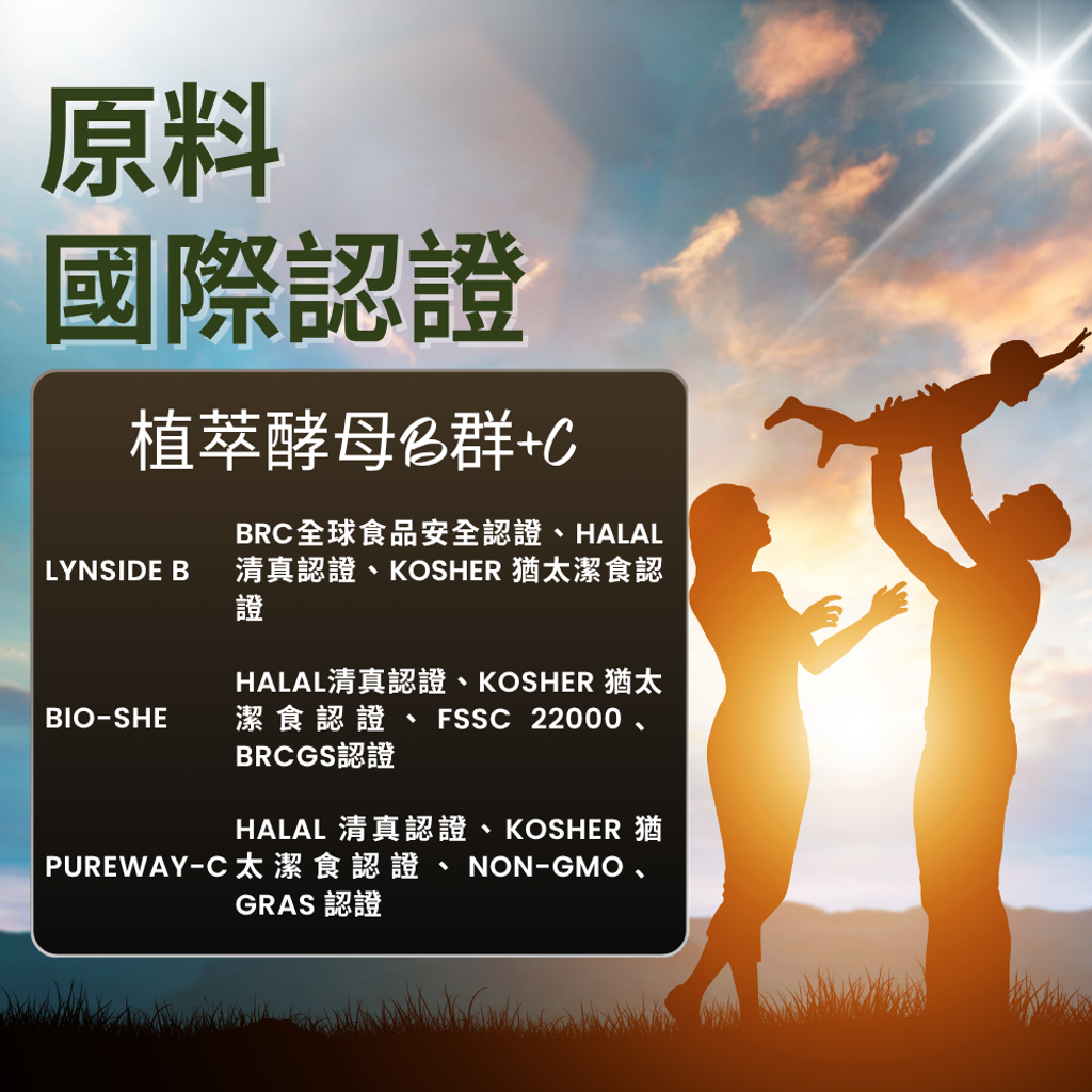 酵母B群 (4)