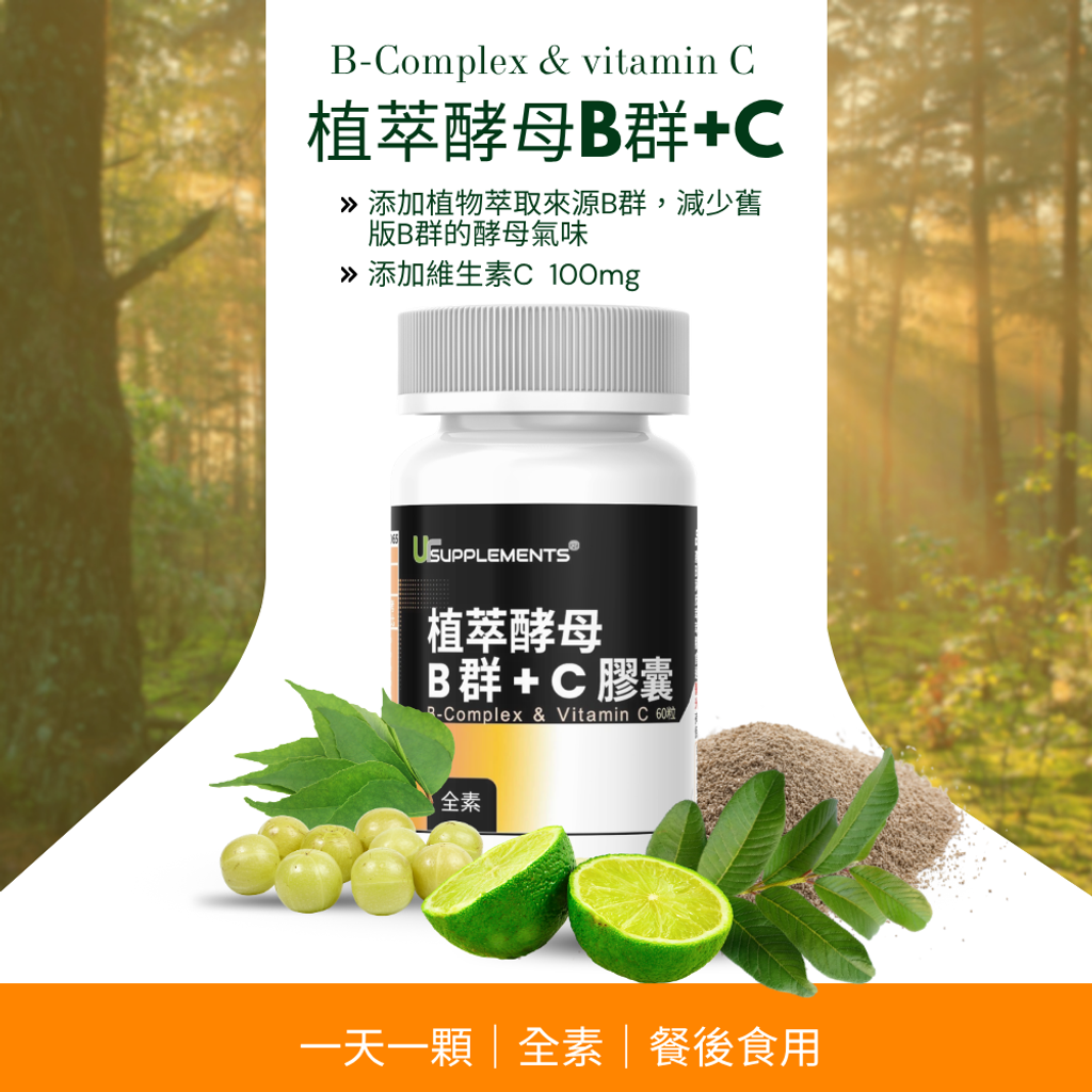 酵母B群