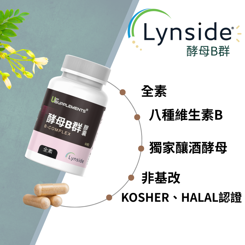 非化學型態B群 (1)