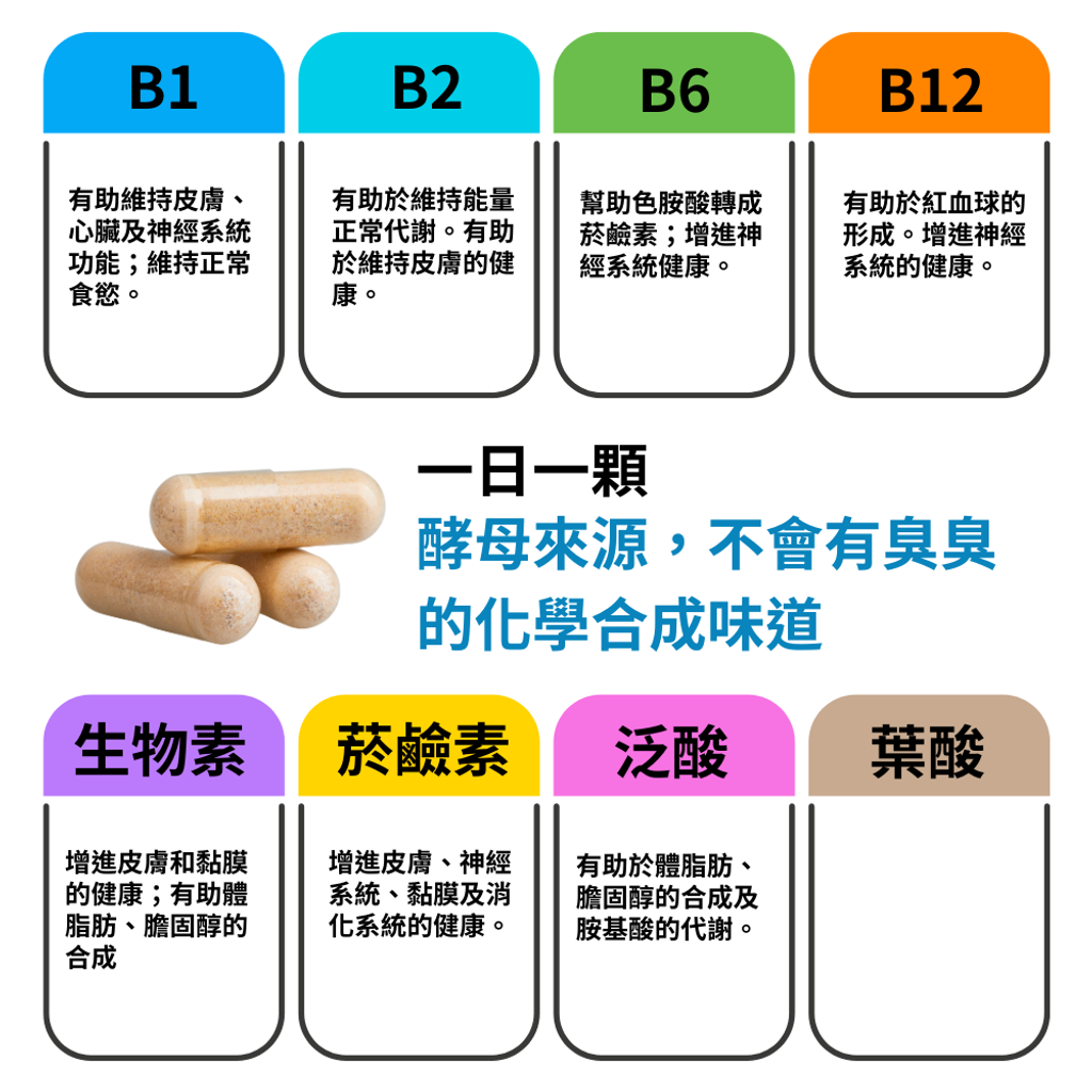 非化學型態B群 (2)
