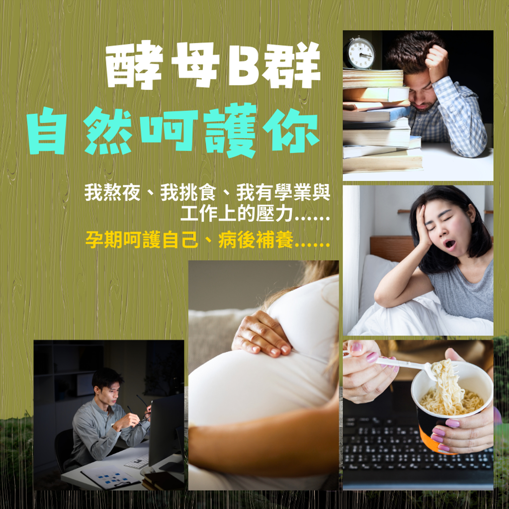 非化學型態B群 (3)