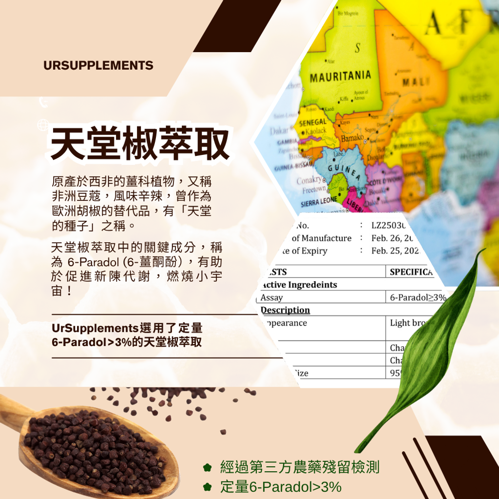 Grecobe® 綠咖啡豆萃取物 (3)