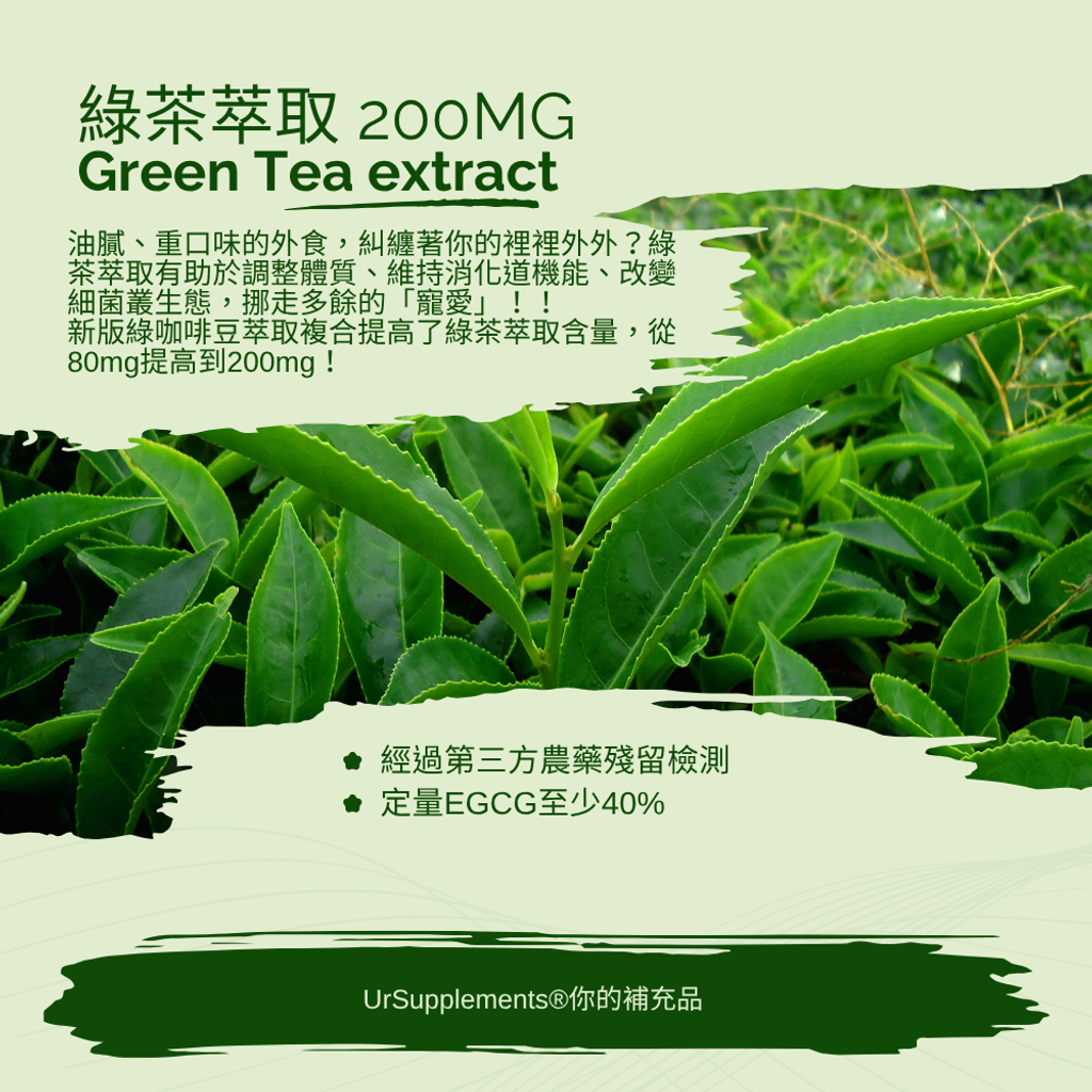 Grecobe® 綠咖啡豆萃取物 (2)