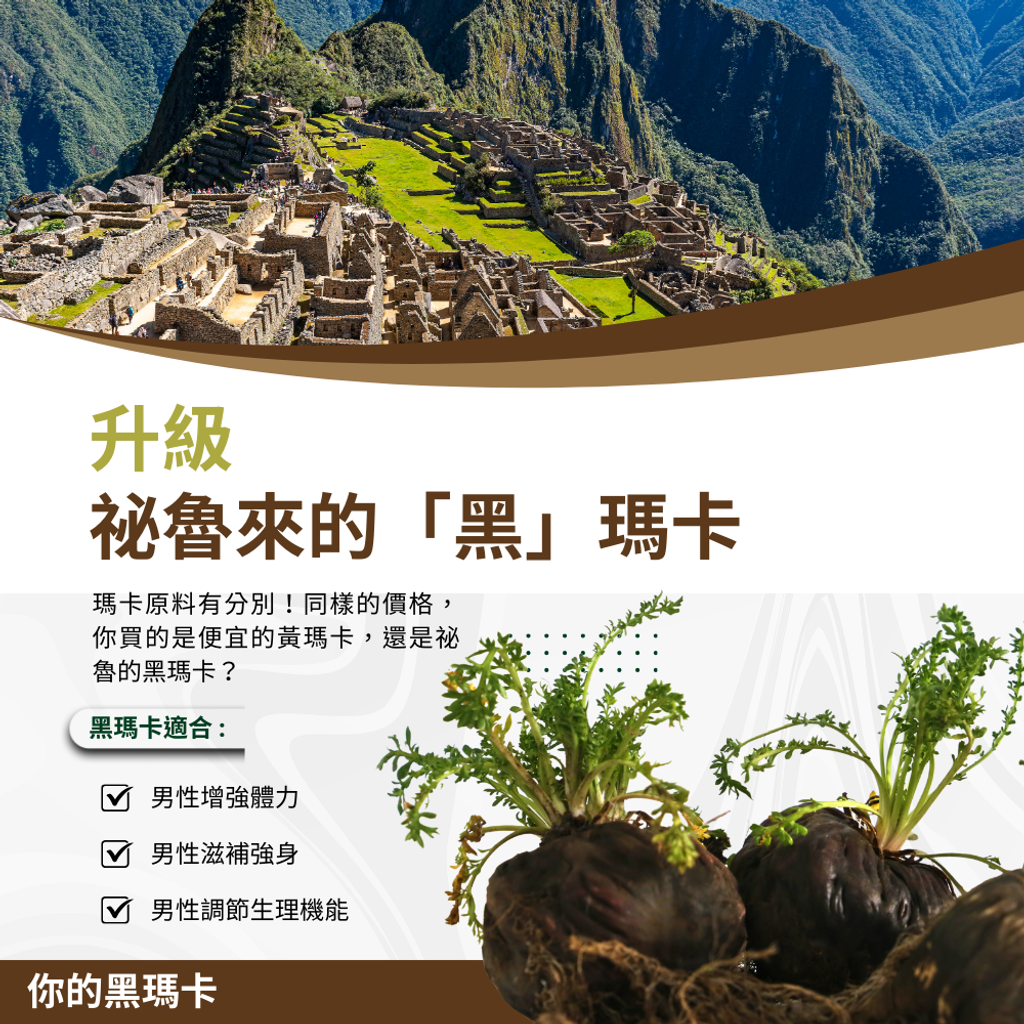 濃縮黑瑪卡膠囊 (2)