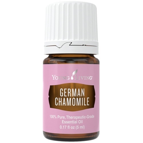 German Chamomile.jpg
