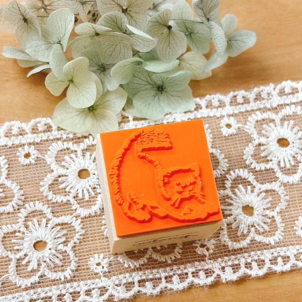 image_3EA10B77-E294-49DB-A104-83E31C5B9AEA_1772516572