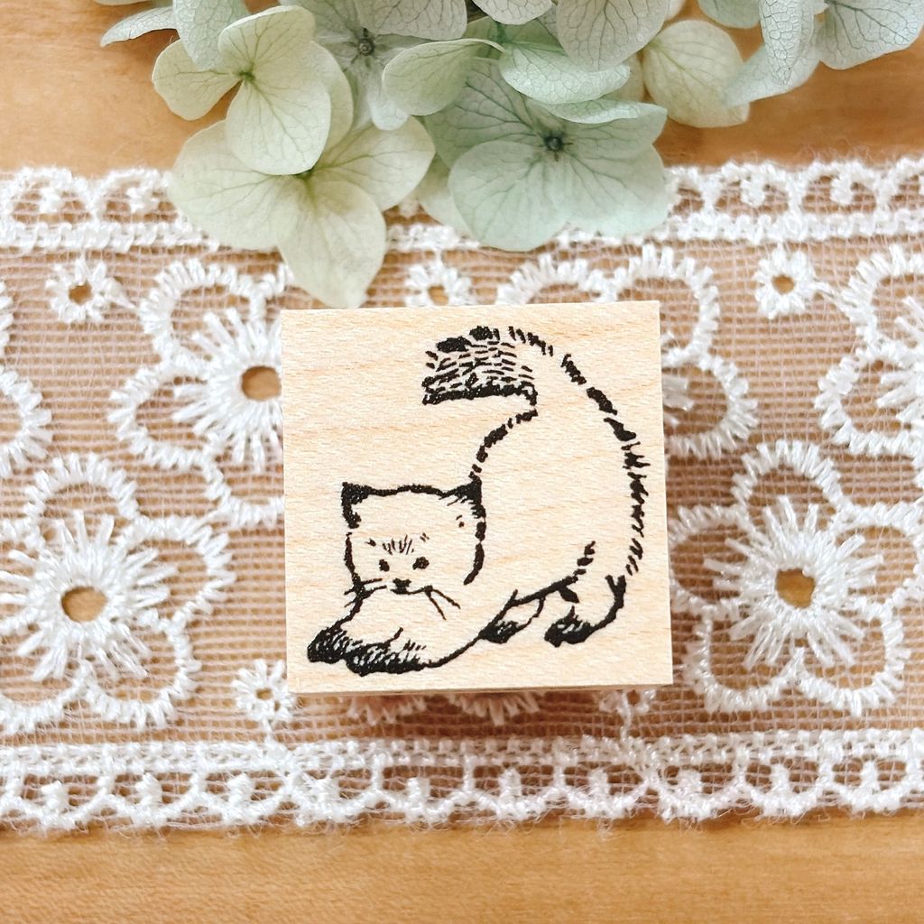 image_6E1D18B6-8FE6-4D80-ADB6-D8FB5B610419_1772516572