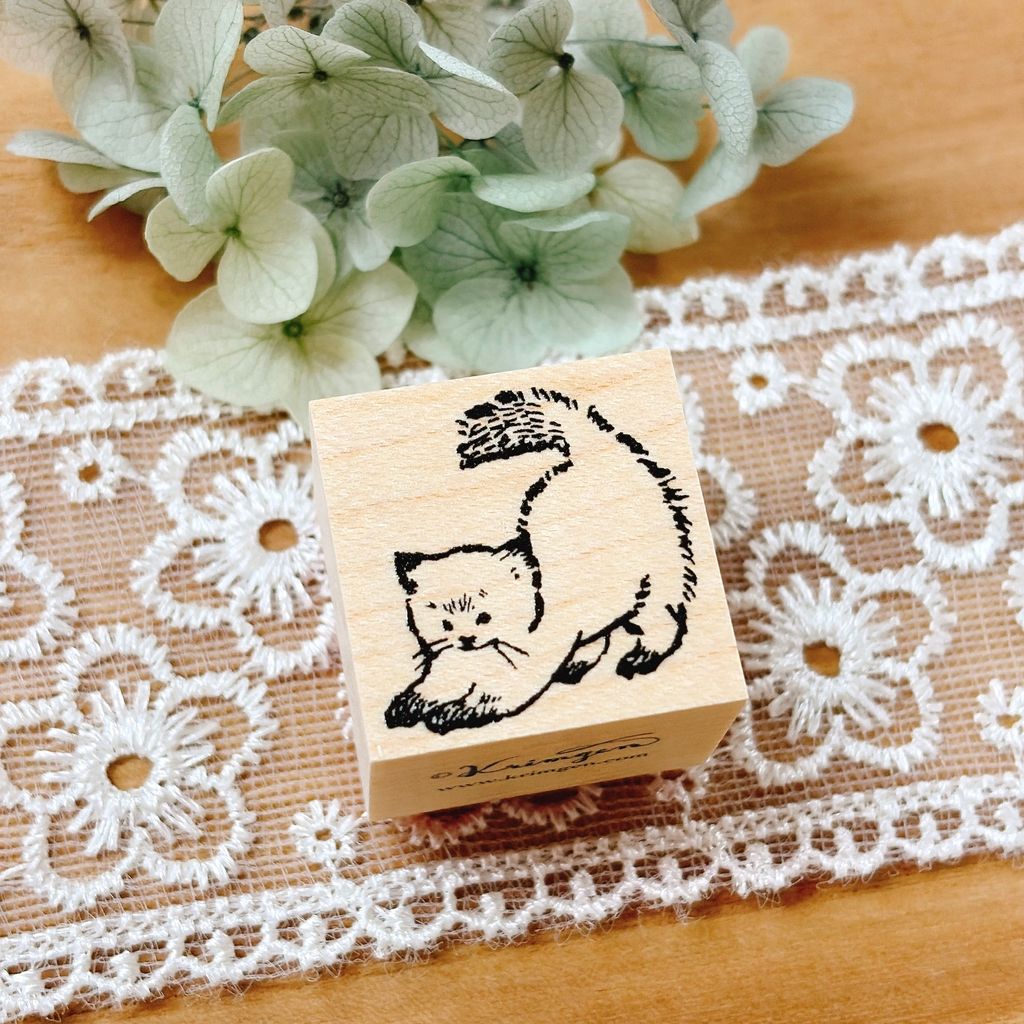 image_F13D1688-3CEF-4E65-84B1-7B9371595863_1772516572