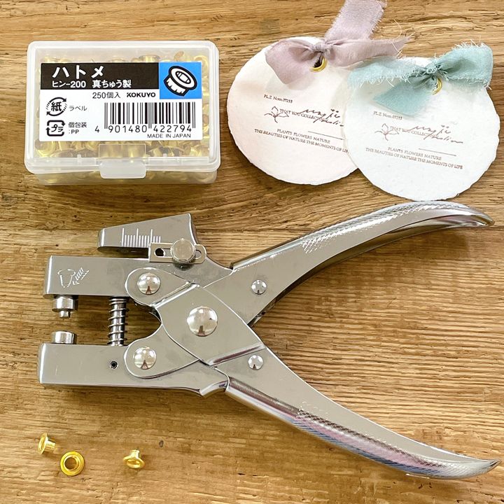 62E9078F-6060-48AD-97FC-94CD8691D3E7