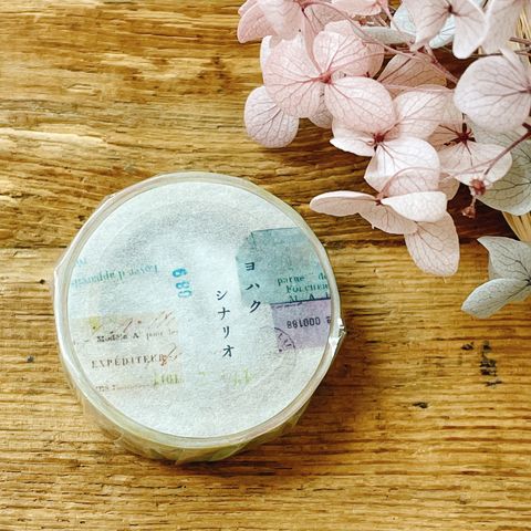 image_13CFA1F9-80D4-489E-A0C5-33E6297F1F48_1765014356