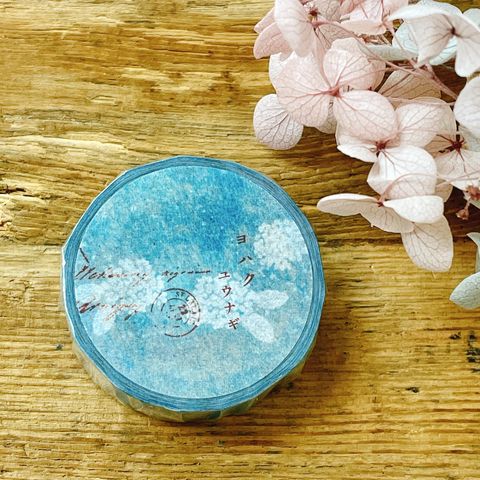 image_5574578B-38AE-4C4A-92D3-6039C2373EF5_1765015262