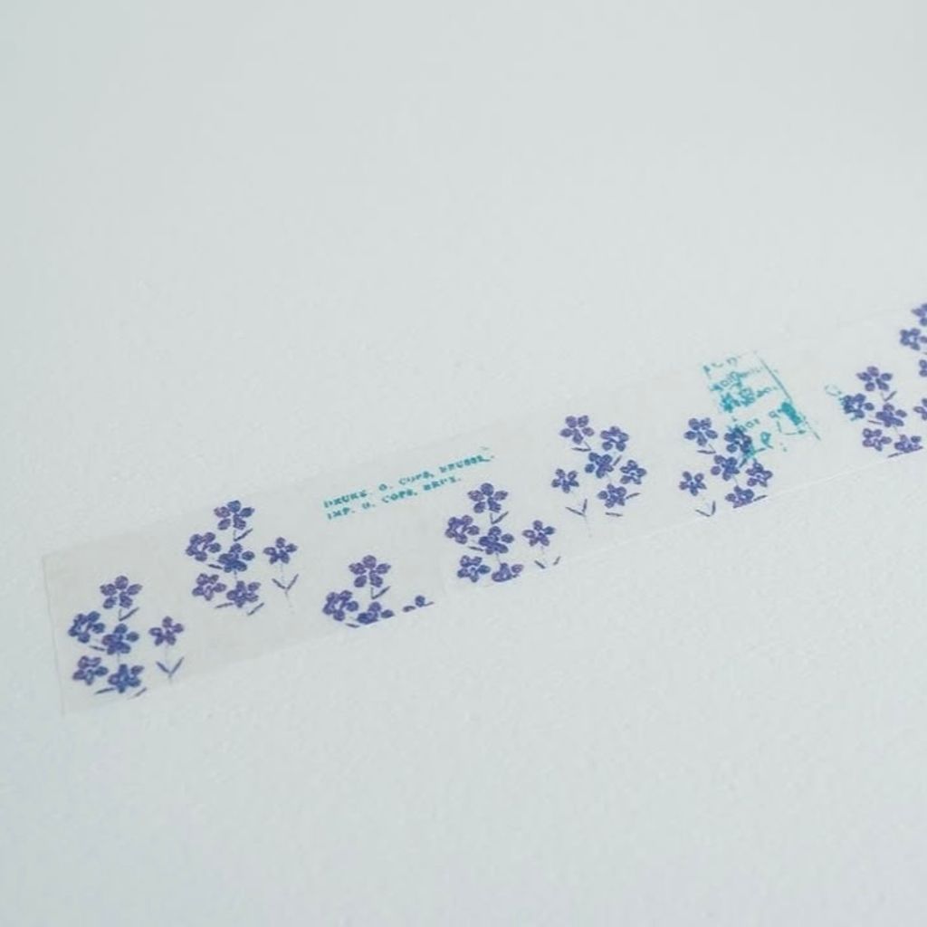 image_81983548-71E5-4290-8118-3A078E065DAD_1765015372