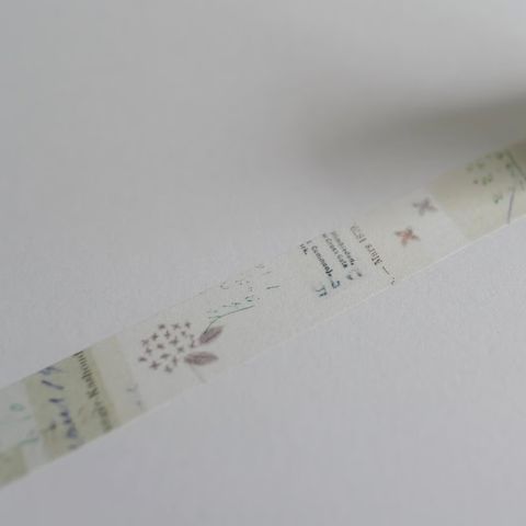 image_A26E88A7-FF57-45E3-9E17-3D2ED18043BD_1765015874