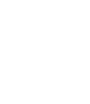 ALOCASIA