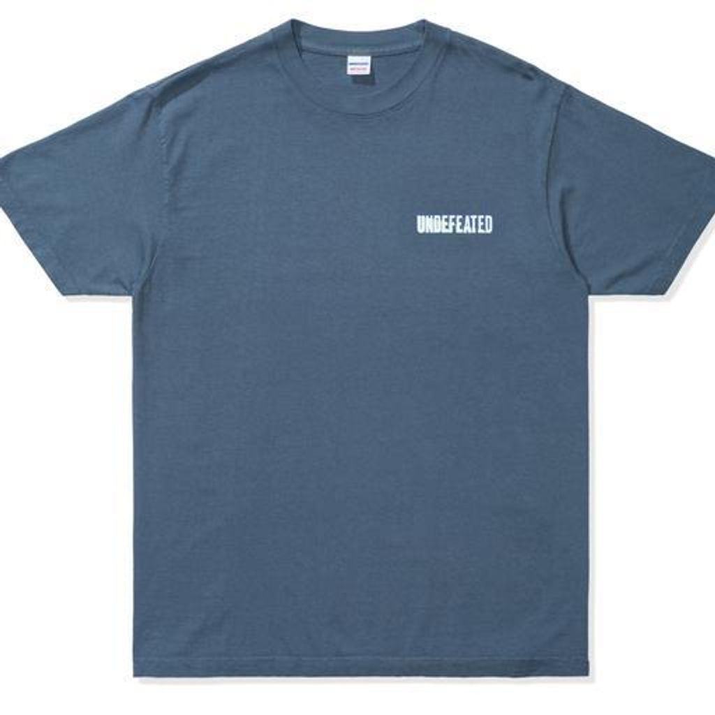 apparel_tshirts_undefeated_split-s-s-tee_80115.view_1.color_slate-blue_512x512_crop_center.jpg