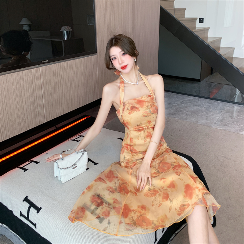 1686146545256_332514