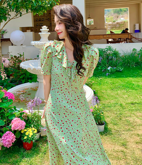 1 2023-07-25 at 3.23.51 AM