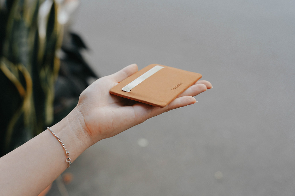 52187042087_427be77898_b