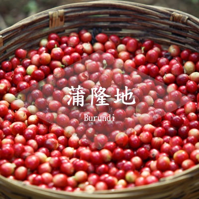 浦隆地-咖啡長程計畫(原來是這樣)