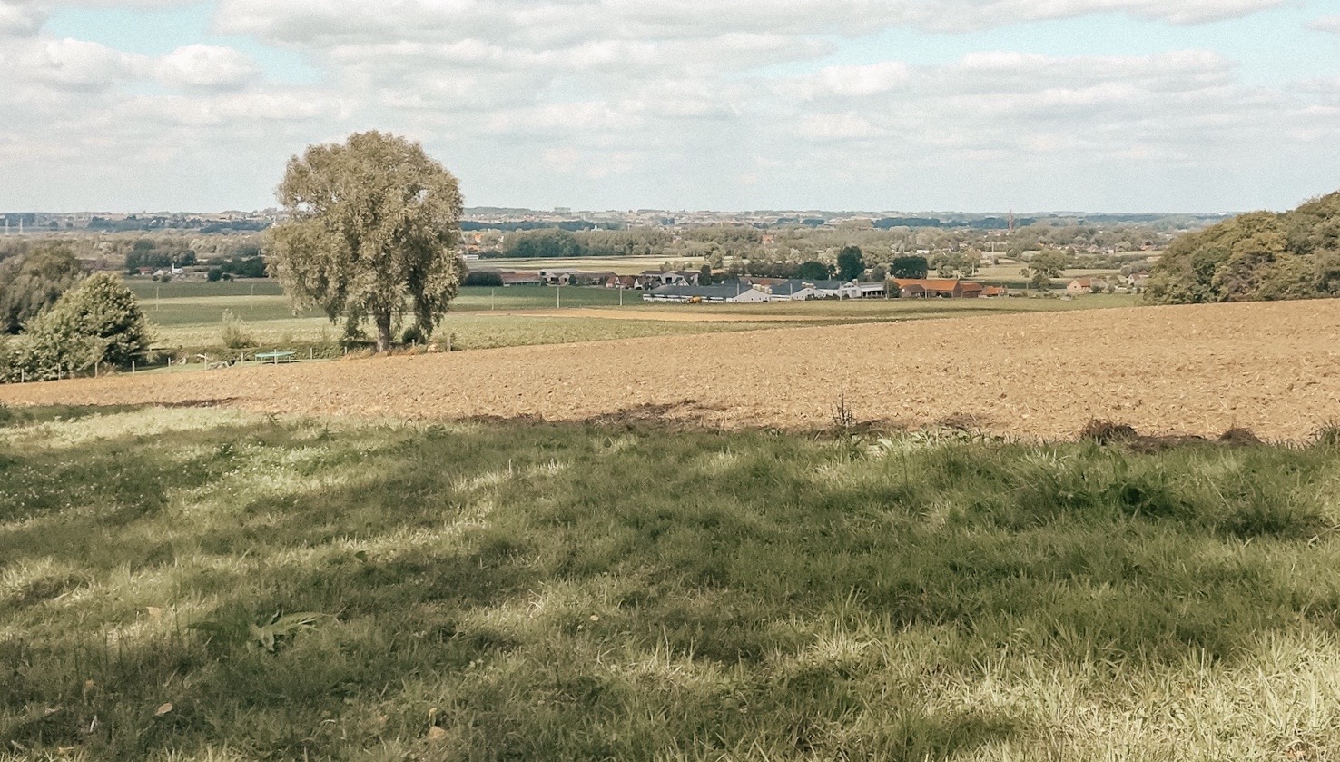 IMG_3639 4.JPG IMG_3639 4.JPG