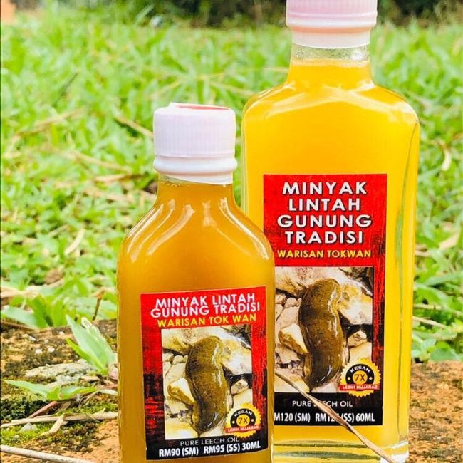 Borong Kosmetik Malaysia | HOT ITEM - MINYAK LINTAH TOKWAN 60ML