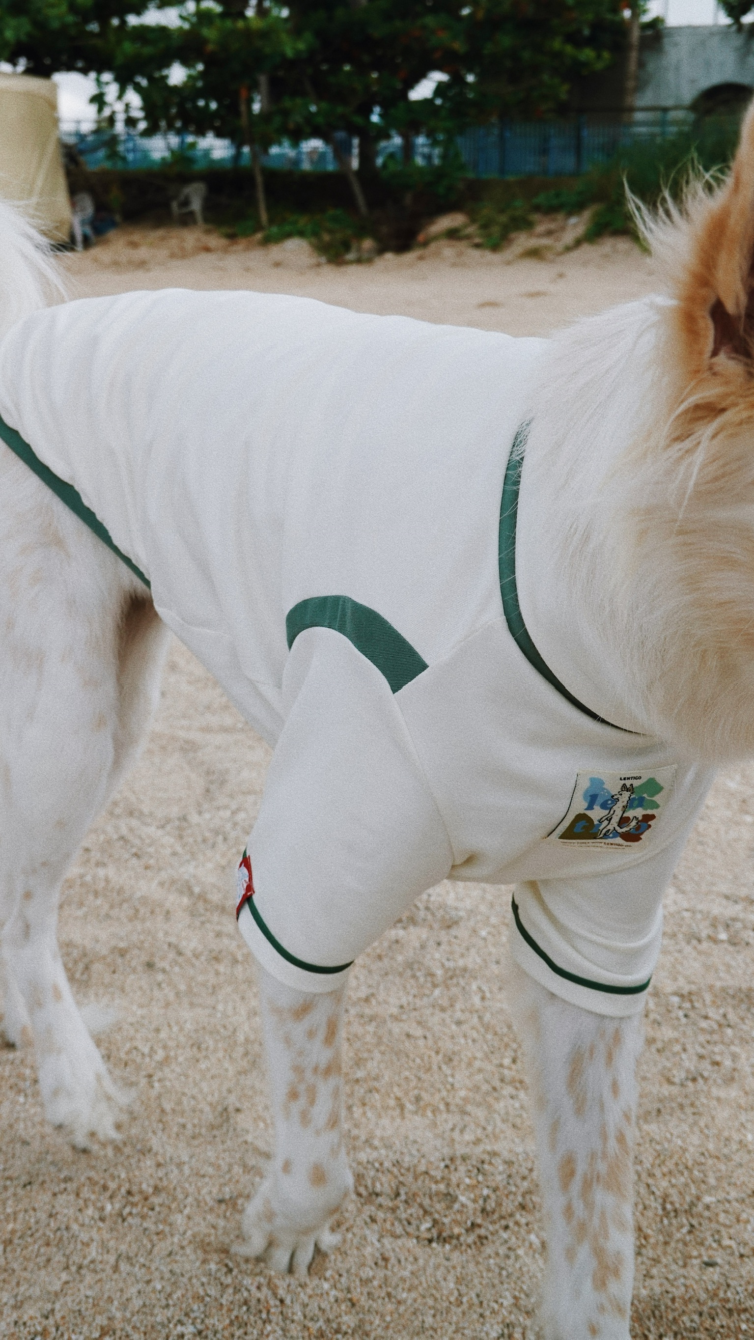 E2736999-DA5C-41E7-A780-D2FDB7D61262