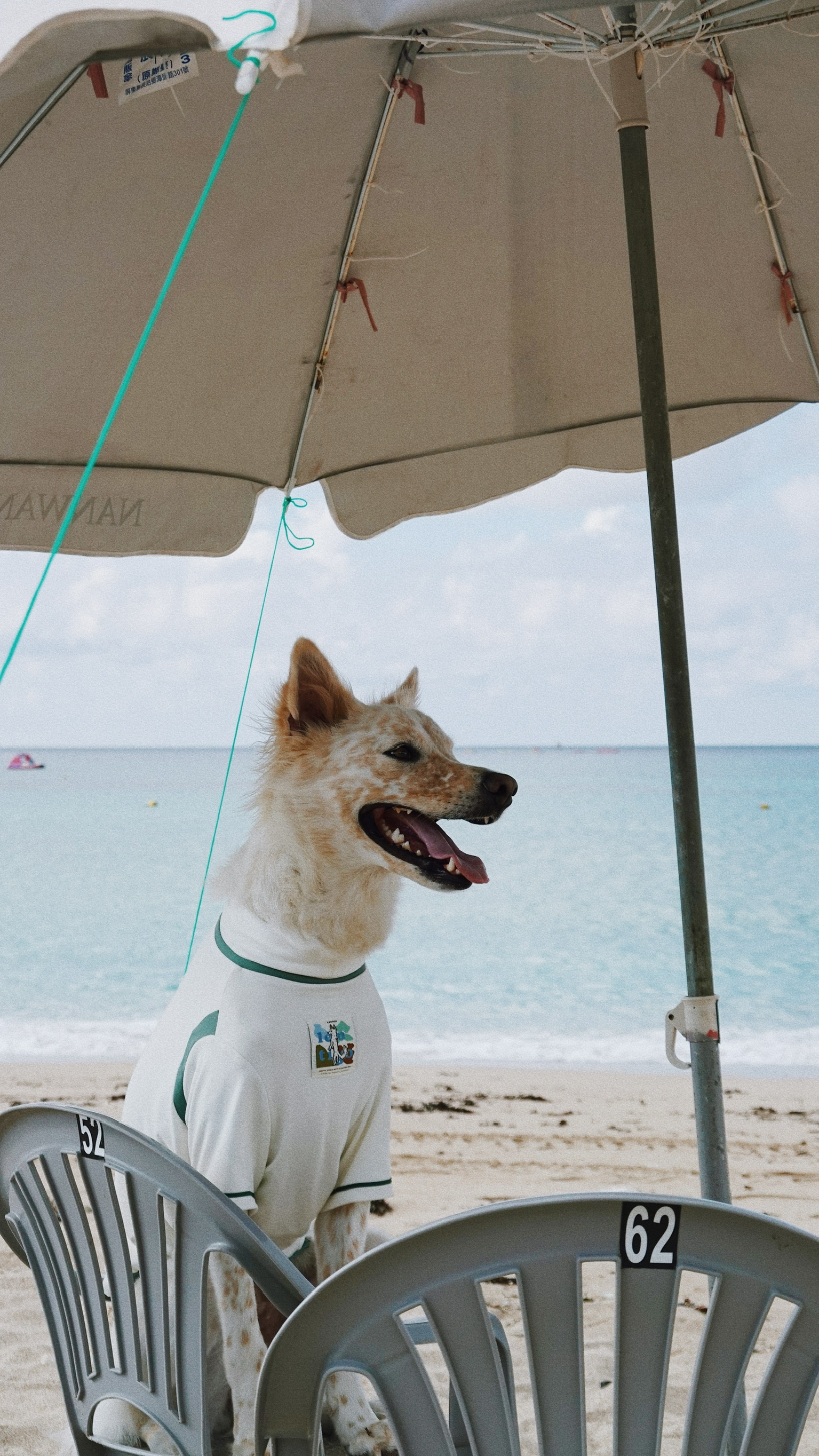 FAE8D5C7-6487-4D14-AA84-D152A1702EAC