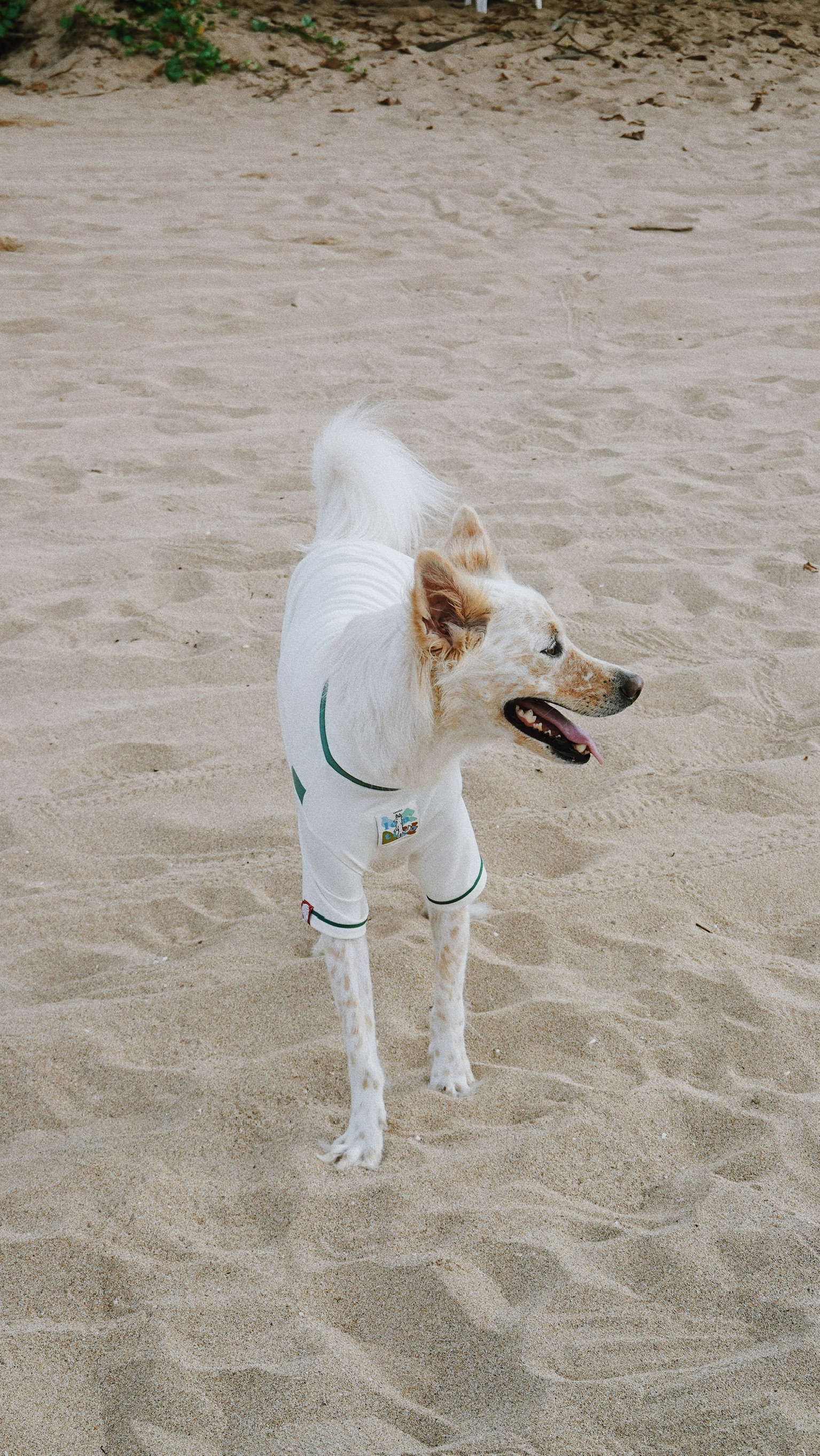 B34C02F5-63E1-4CDB-BFF3-2ADAE585B56D