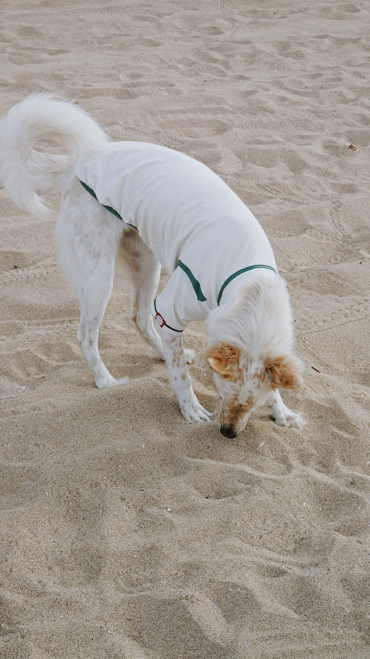 67814EE6-5791-4144-B399-211E99030C38