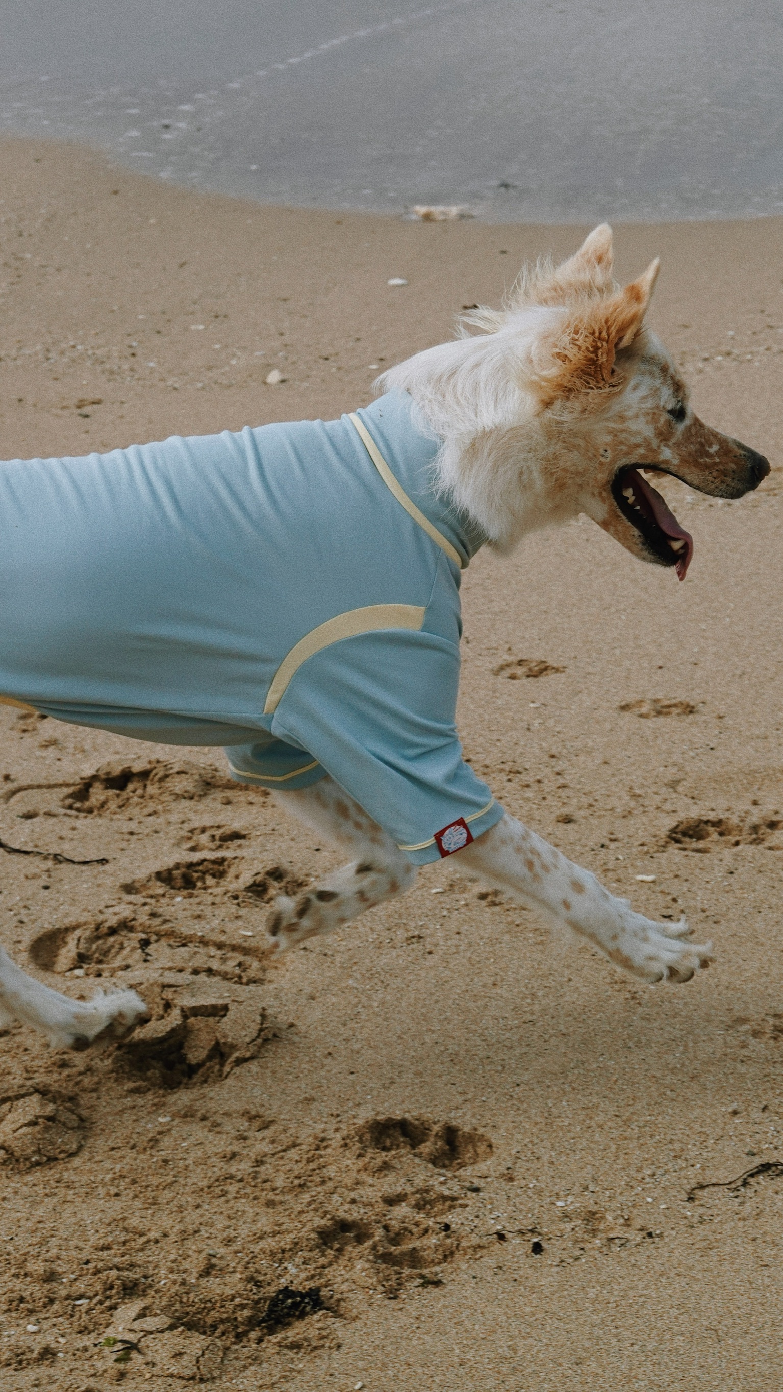 6C31B20B-5662-43D2-B564-C47202A3CB25