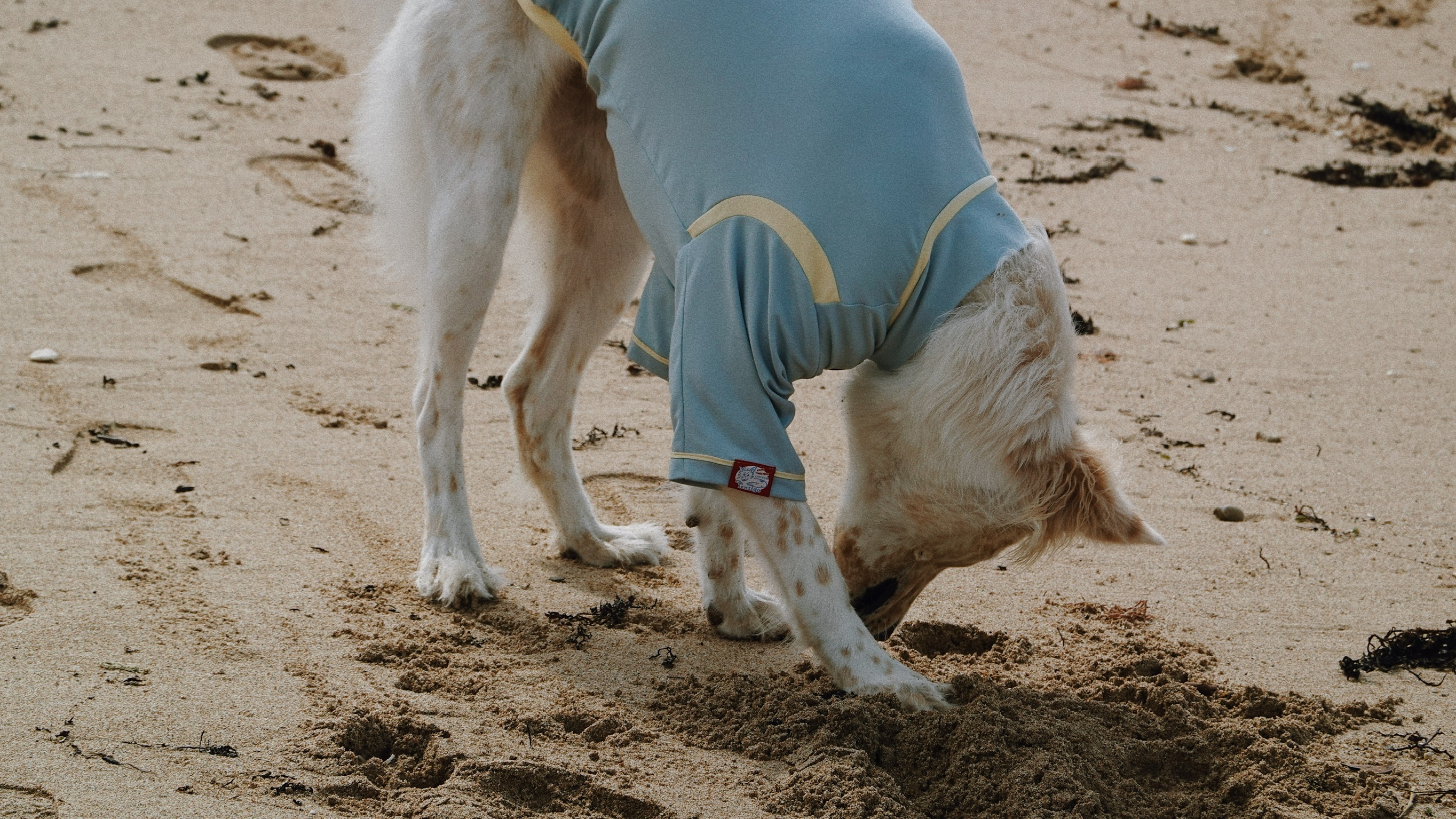 7C02B8C9-2670-42FF-886A-AAE2361333B6