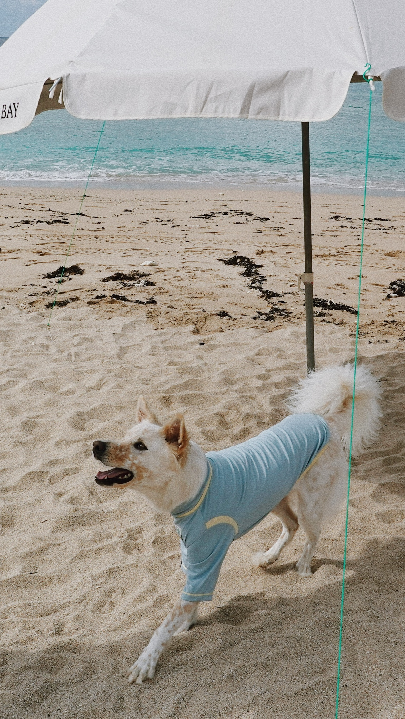 D3FFC8E5-4EF5-4194-B1C9-145E5815FB91