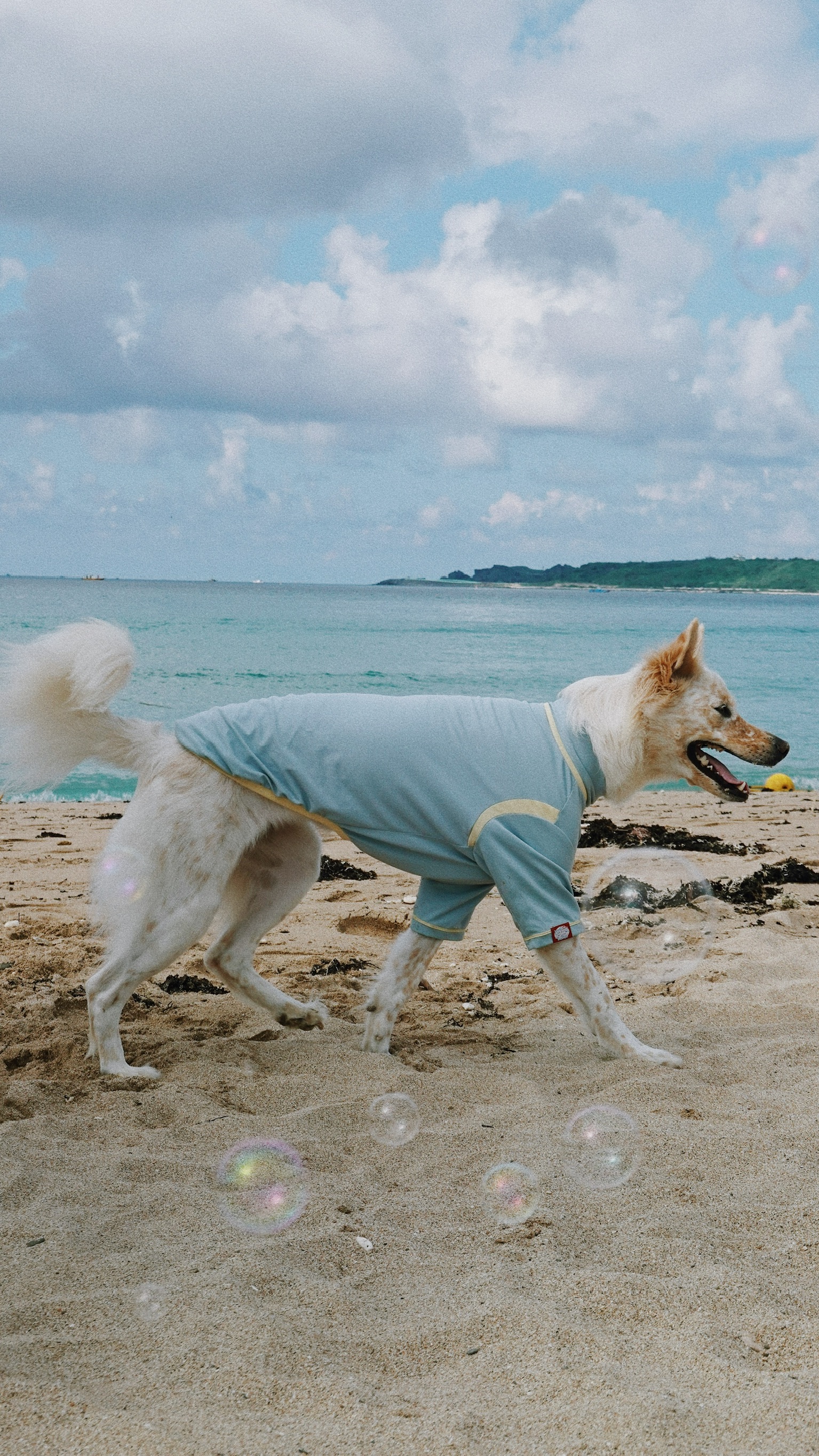 F1BC81D2-8165-42EF-A3F8-83876803974F