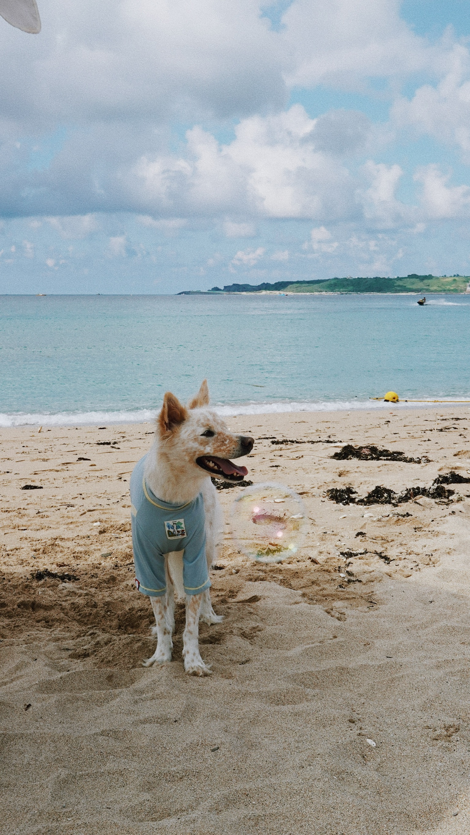 3E1778DD-D4DA-486B-8B9E-1B123AB3FA34