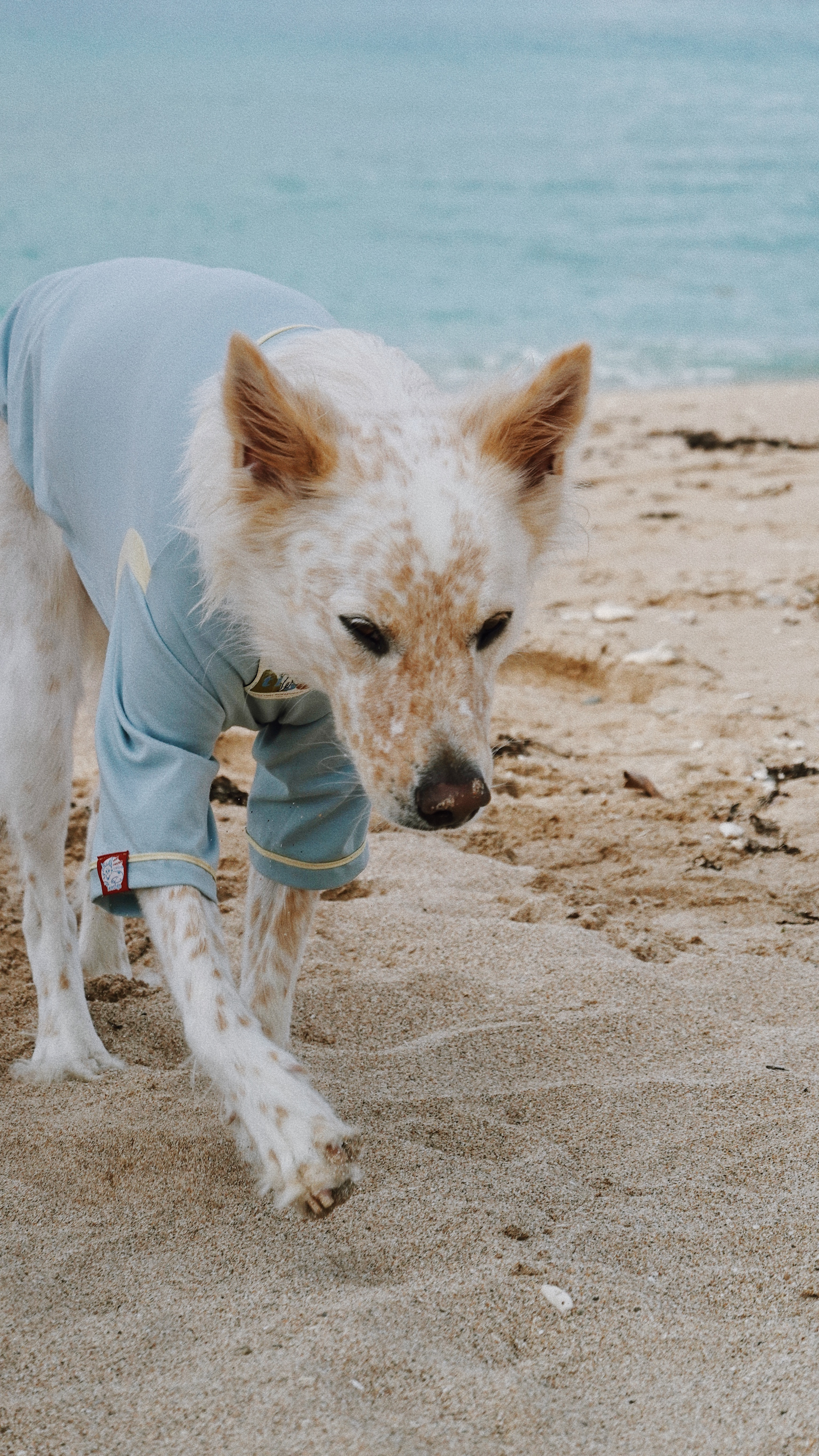 A0B0EE78-0029-494C-8A9C-97BD5BF75BC2