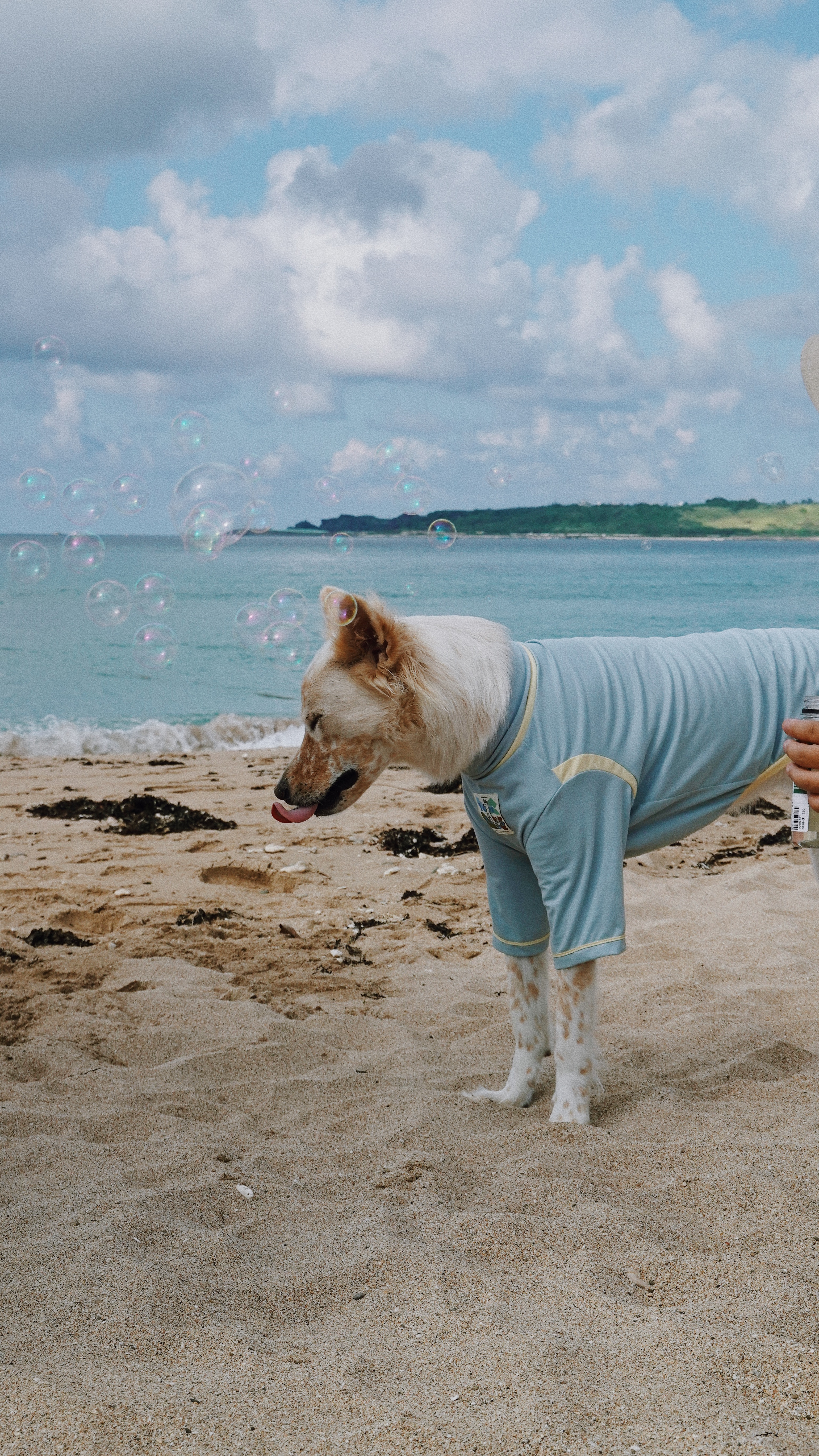 0CF335FA-3159-4F7D-863C-2413998E2077